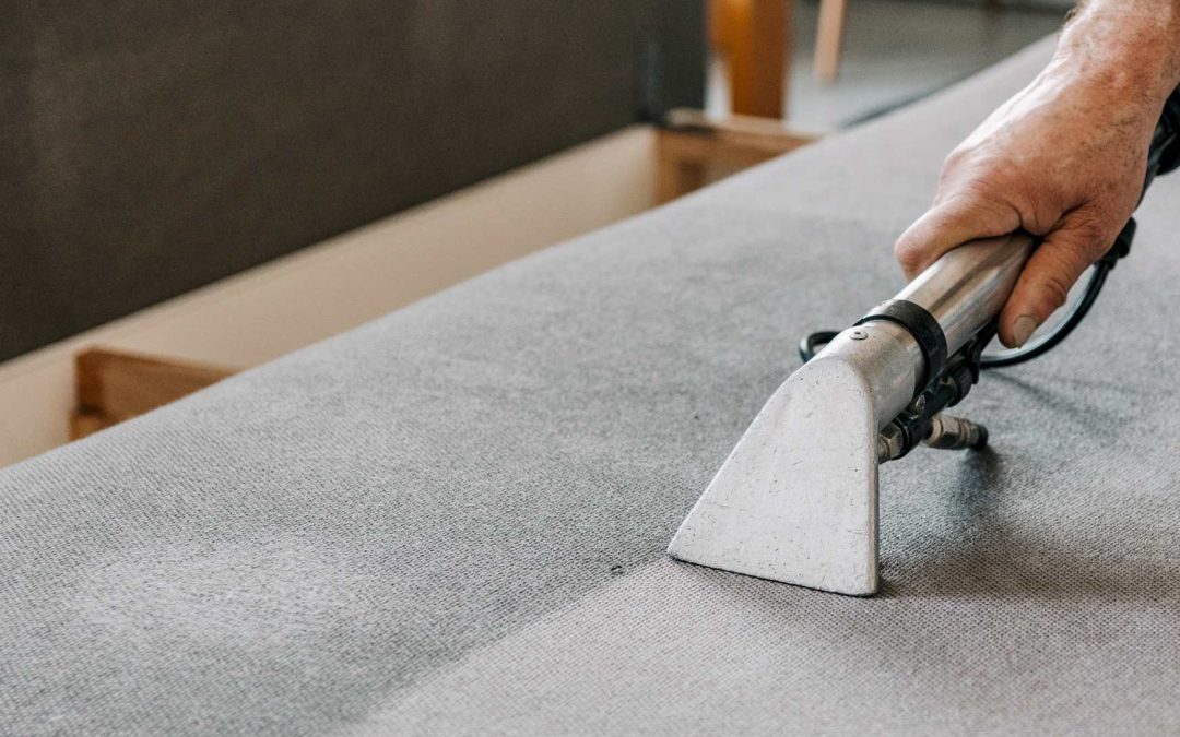 Why Professional Pest Control Is Safe For Your Home?